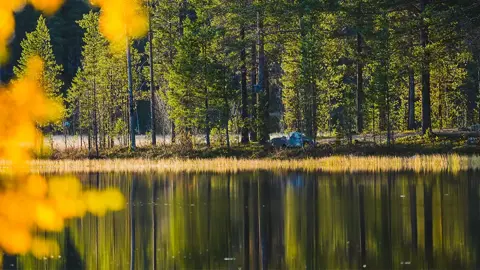 Bild av sjö omgiven av tallskog. I förgrunden gula löv. Foto: CJ Utsi