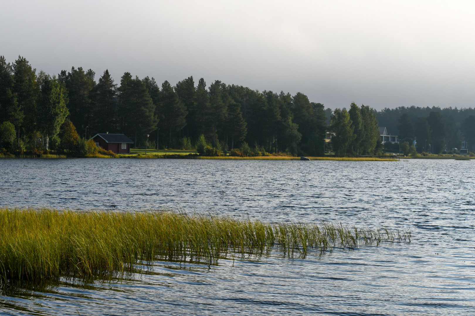 SCB:s medborgarundersökning 2023